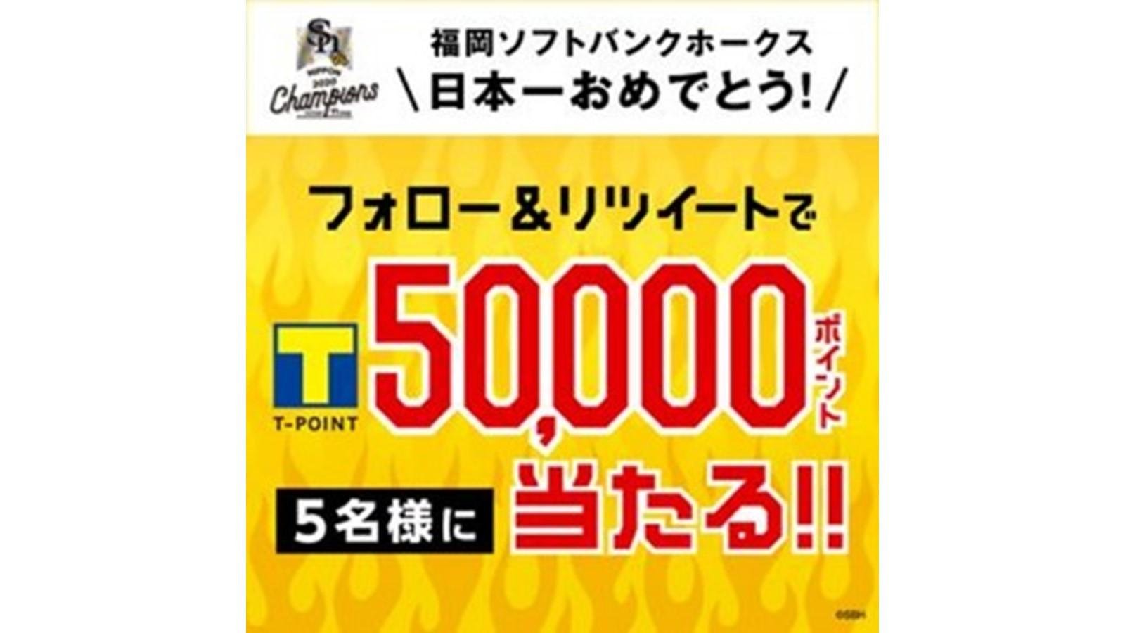 20201127_tpj_hawks01.jpg