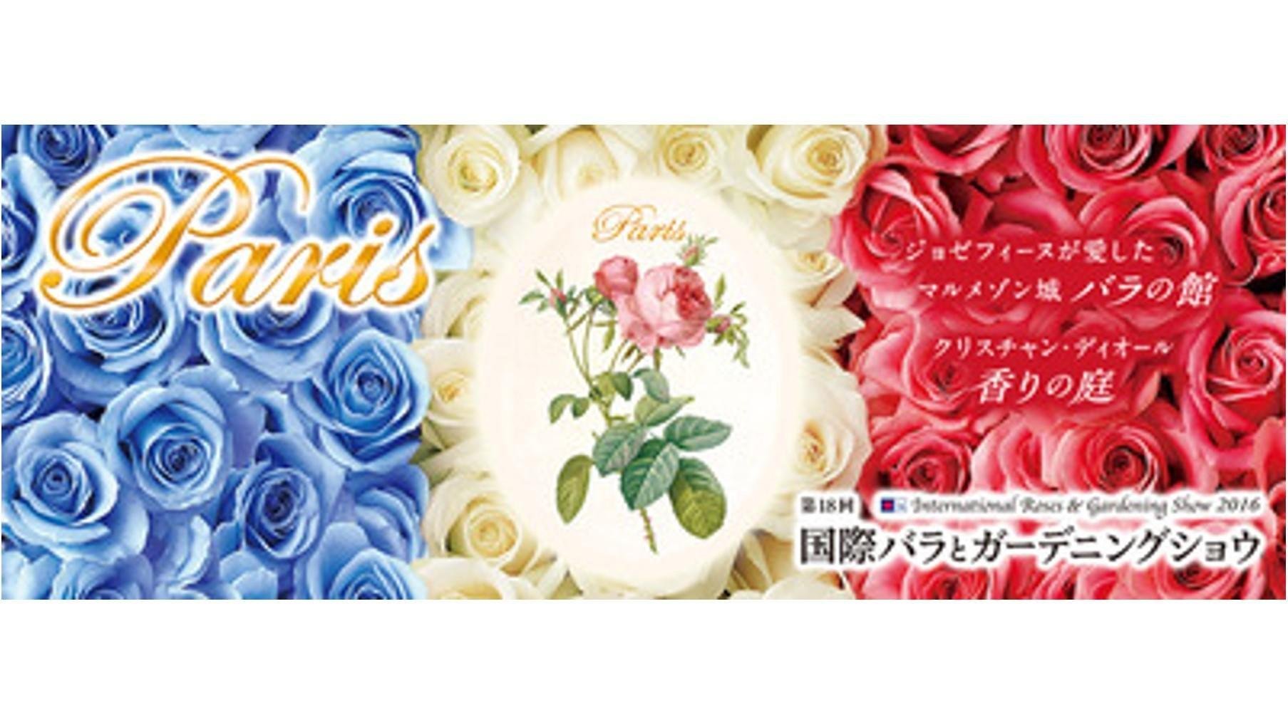 20160418_ccc_rose_01.jpg