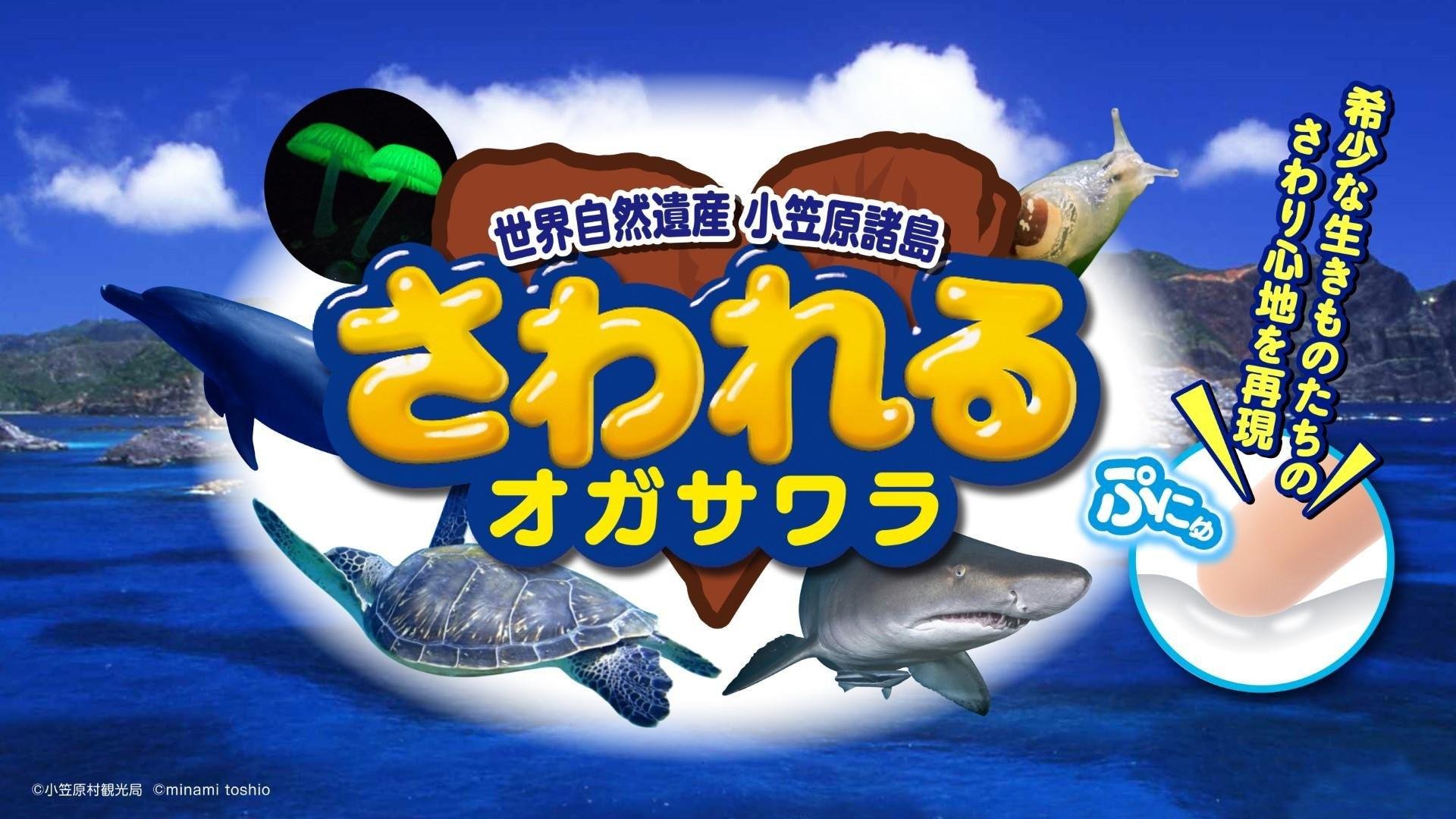 20230919_cccmk_ogasawara_01.jpg