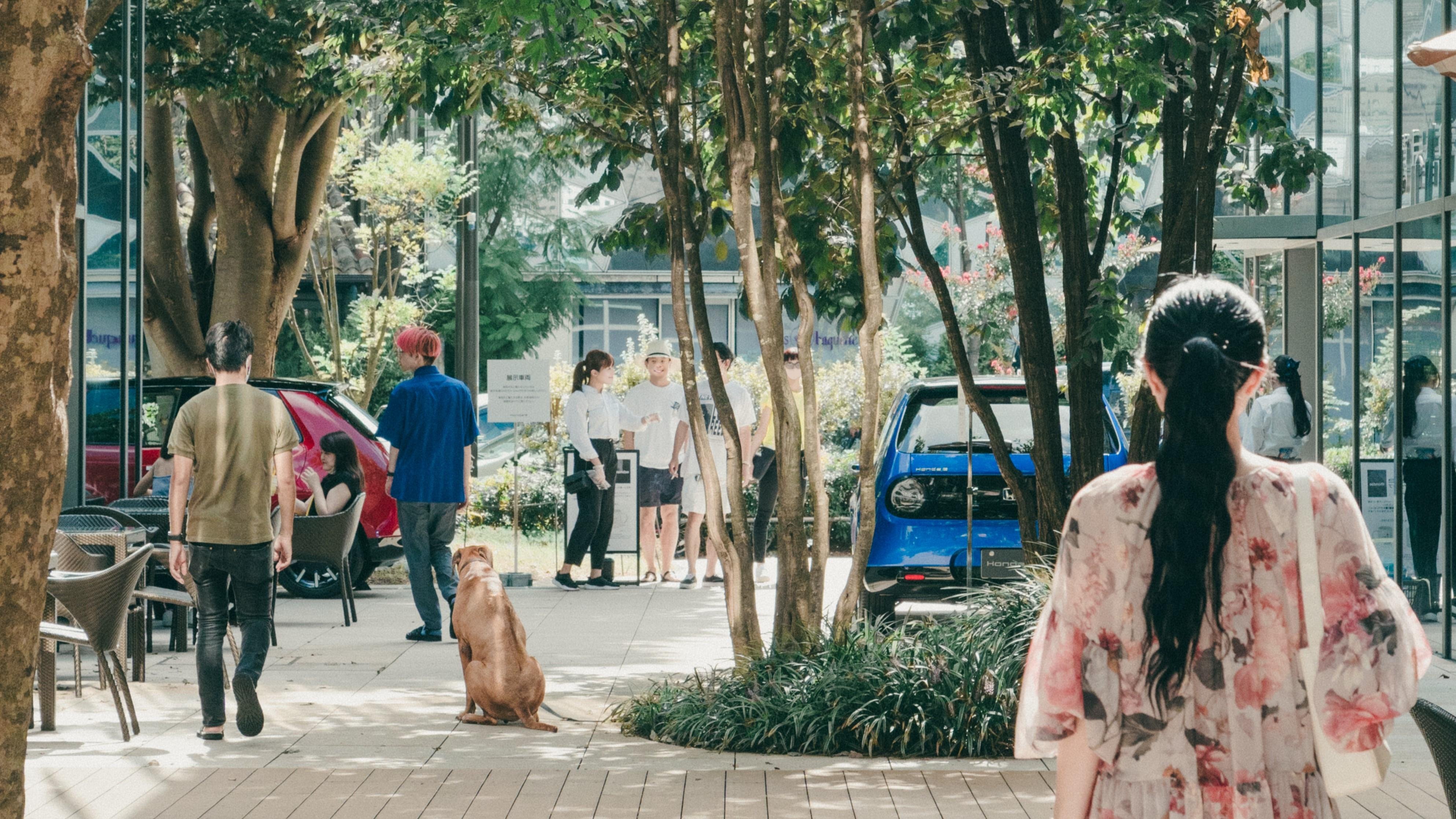 This is an image illustrating our database marketing business. 