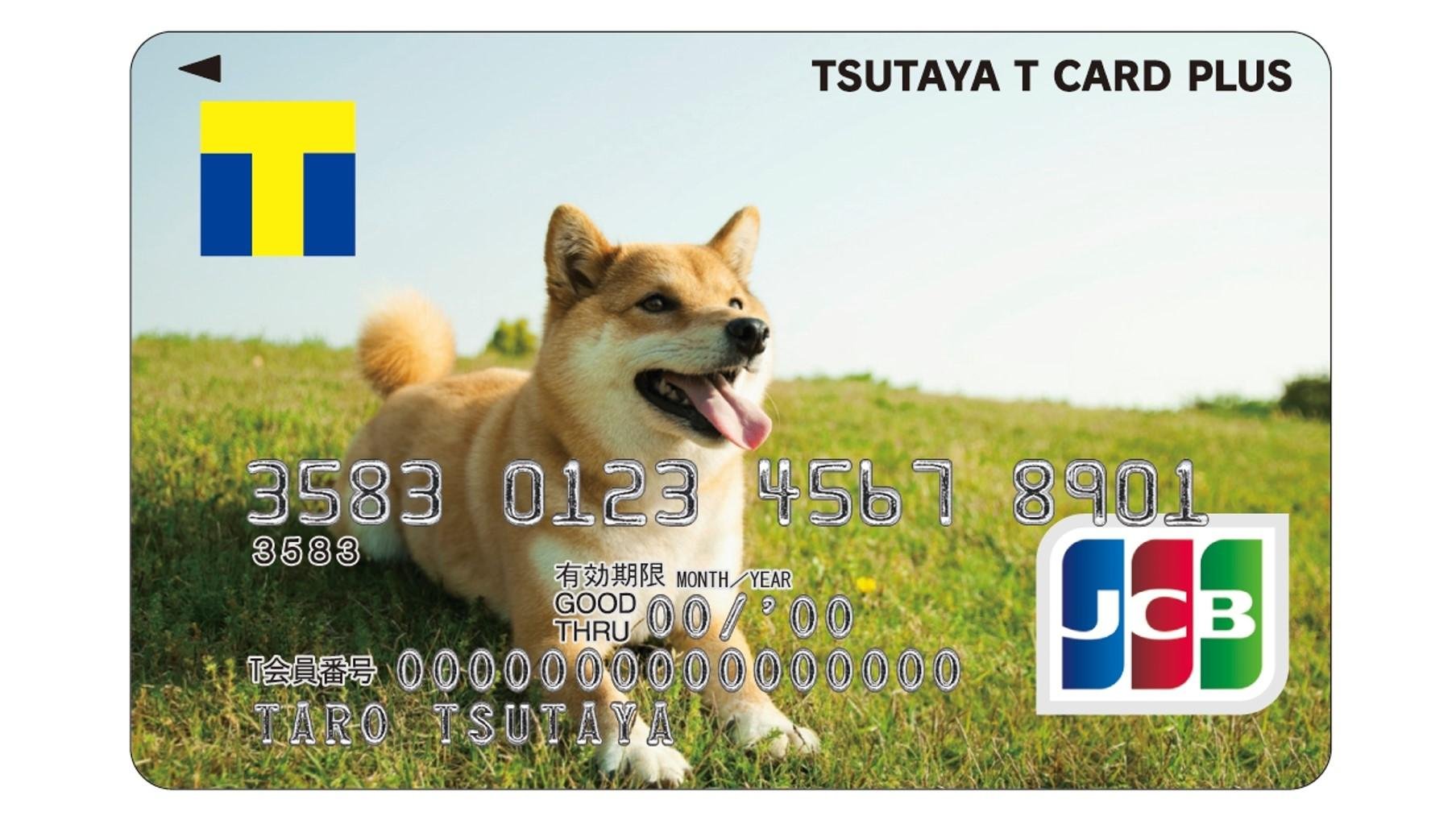 20110930_ccc_tcardplusphoto_00.jpg