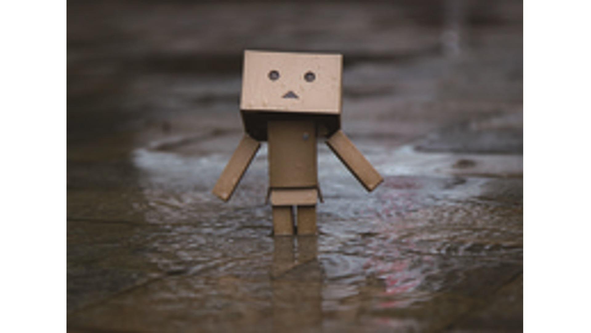 “T卡（丹波设计）”将于11月27日起在TSUTAYA书店发售，与备受瞩目的《四叶妹妹&！》第13卷同日发售，该卷在时隔2年8个月后重新发售！此为说明图。