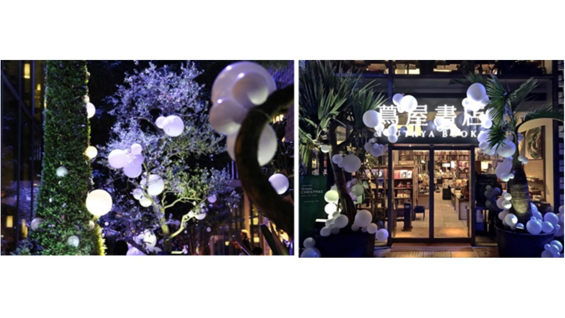 这是“代官山 T-SITE 绿色圣诞节”亮灯活动的宣传图，届时来自世界各地的植物将齐聚森林，共庆圣诞节。