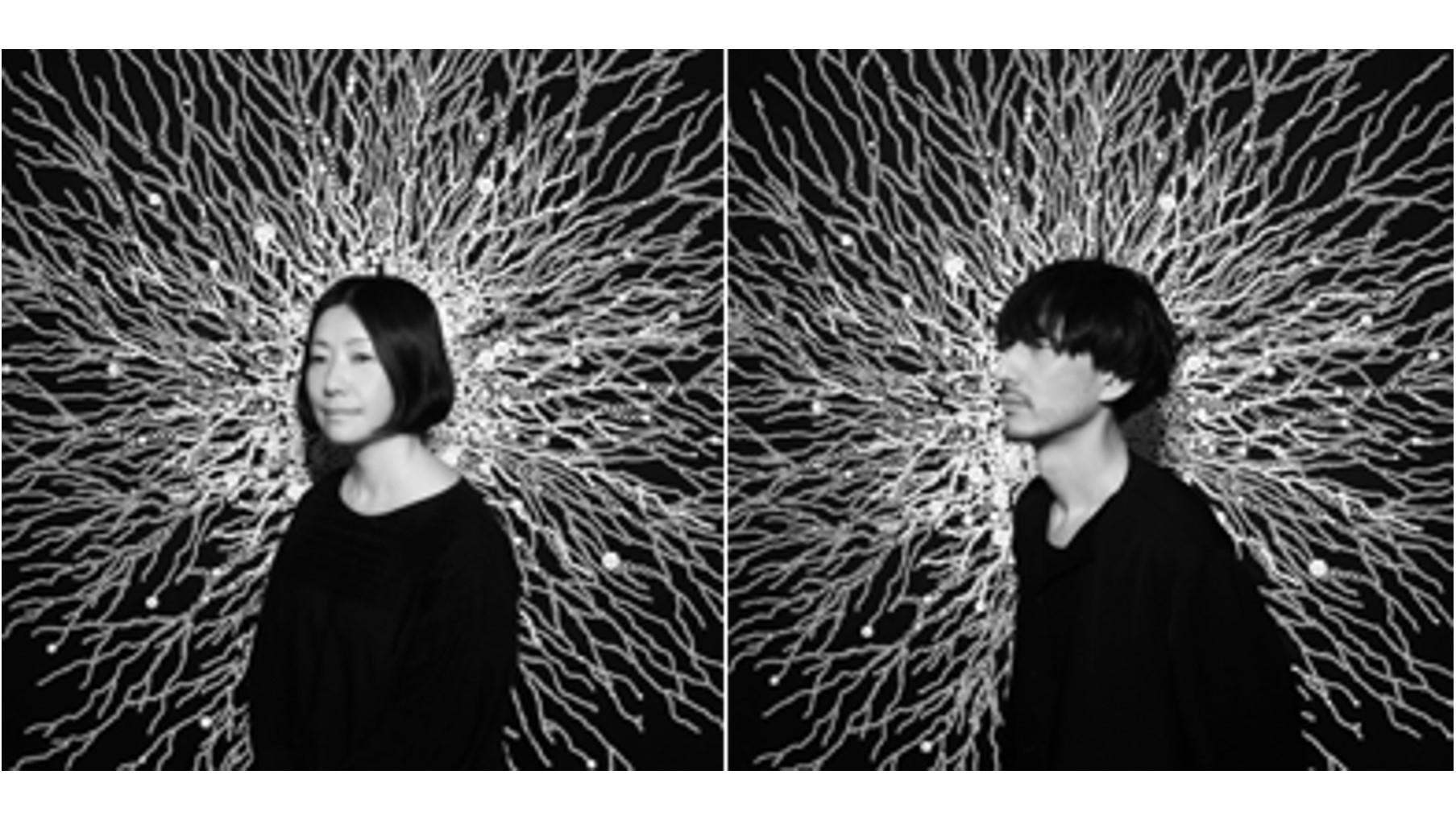 这是“代官山 T-SITE 绿色圣诞节”亮灯活动的宣传图，届时来自世界各地的植物将齐聚森林，共庆圣诞节。