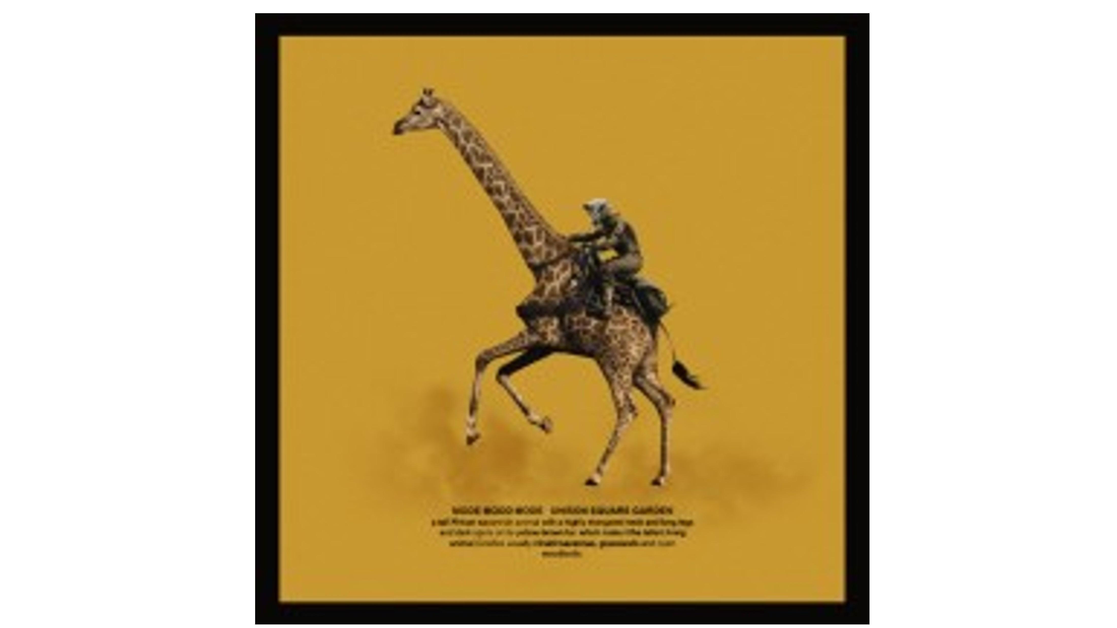 「Tカード（UNISON SQUARE GARDENデザイン）」1月23日（火）より、TSUTAYA店頭発行スタート