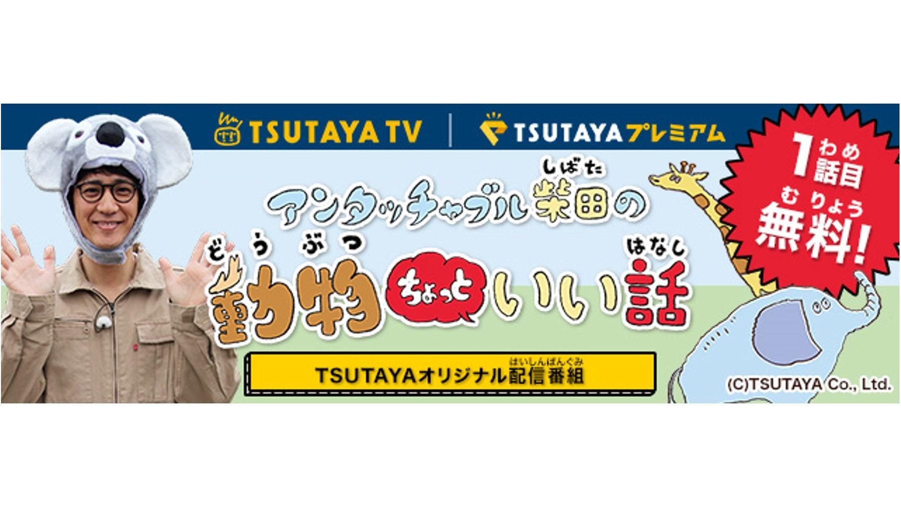 20180411_ccc_douga_01.jpg