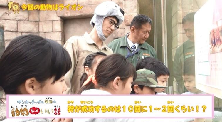 「TSUTAYA TV」オリジナル作品、親子で見たい動物知育番組『アンタッチャブル柴田の動物ちょっといい話』4月11日（水）配信スタート！の説明画像です