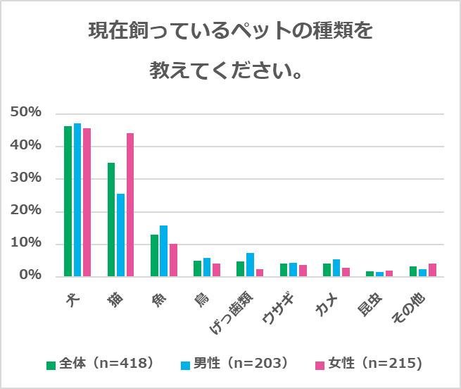 寵物調查顯示，40%的人更喜歡狗，其中最受歡迎的是玩具貴賓犬；30%的人更喜歡貓，其中最受歡迎的是混種貓。