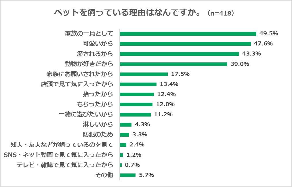 寵物調查顯示，40%的人更喜歡狗，其中最受歡迎的是玩具貴賓犬；30%的人更喜歡貓，其中最受歡迎的是混種貓。