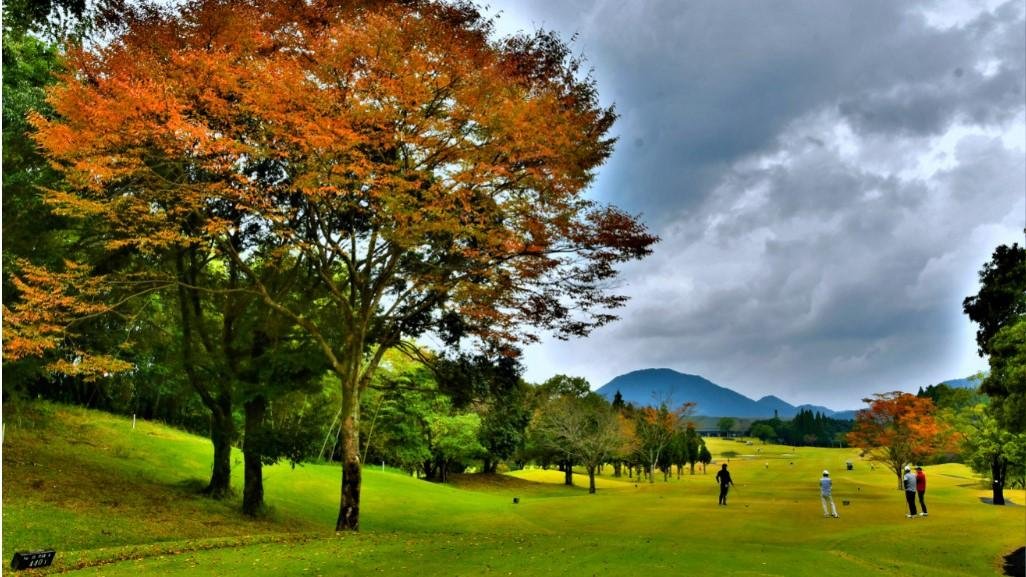 20191224_cccmk_golf_01.jpg