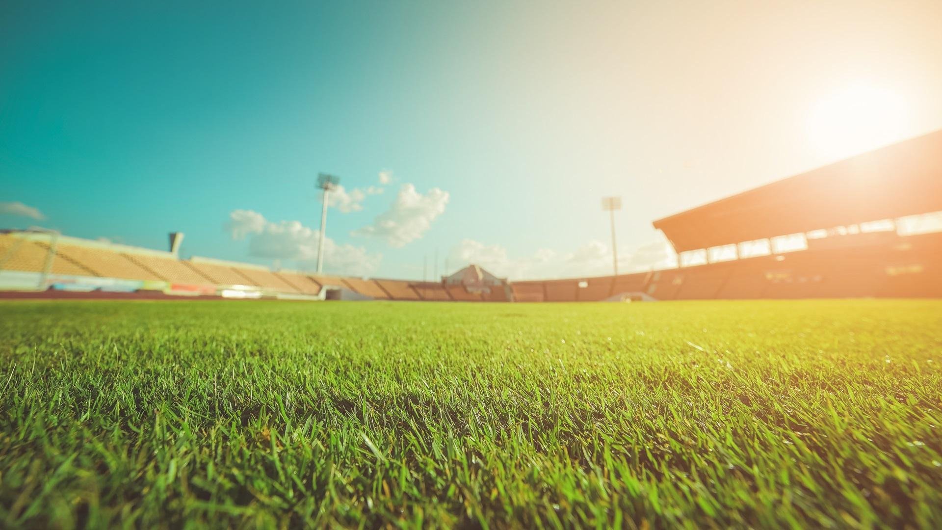 『野球vsサッカーに関するアンケート調査』野球とサッカーどっちが好き？「野球派」は5割、「サッカー派」は3割、「両方派」は2割の説明画像です