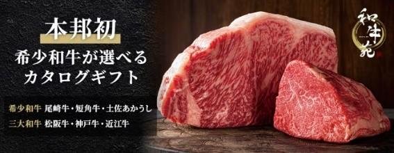 シャディ史上初となる『Tポイント30倍贈呈キャンペーン』を開催!の説明画像です