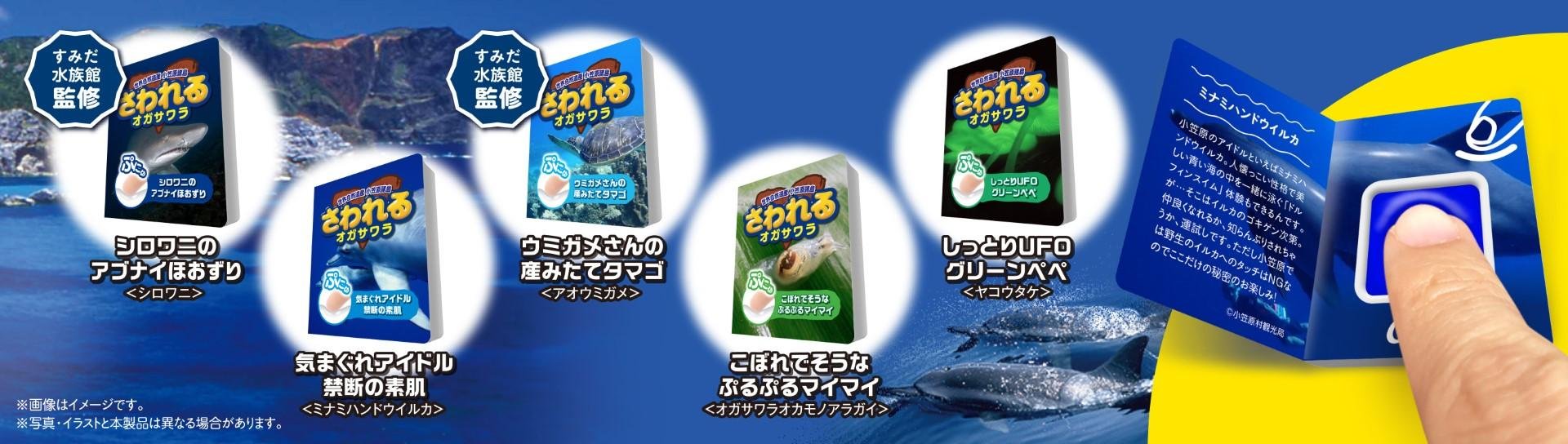 小笠原商品 CCCMKホールディングス×小笠原村観光局 共育プロジェクト「おがさわ