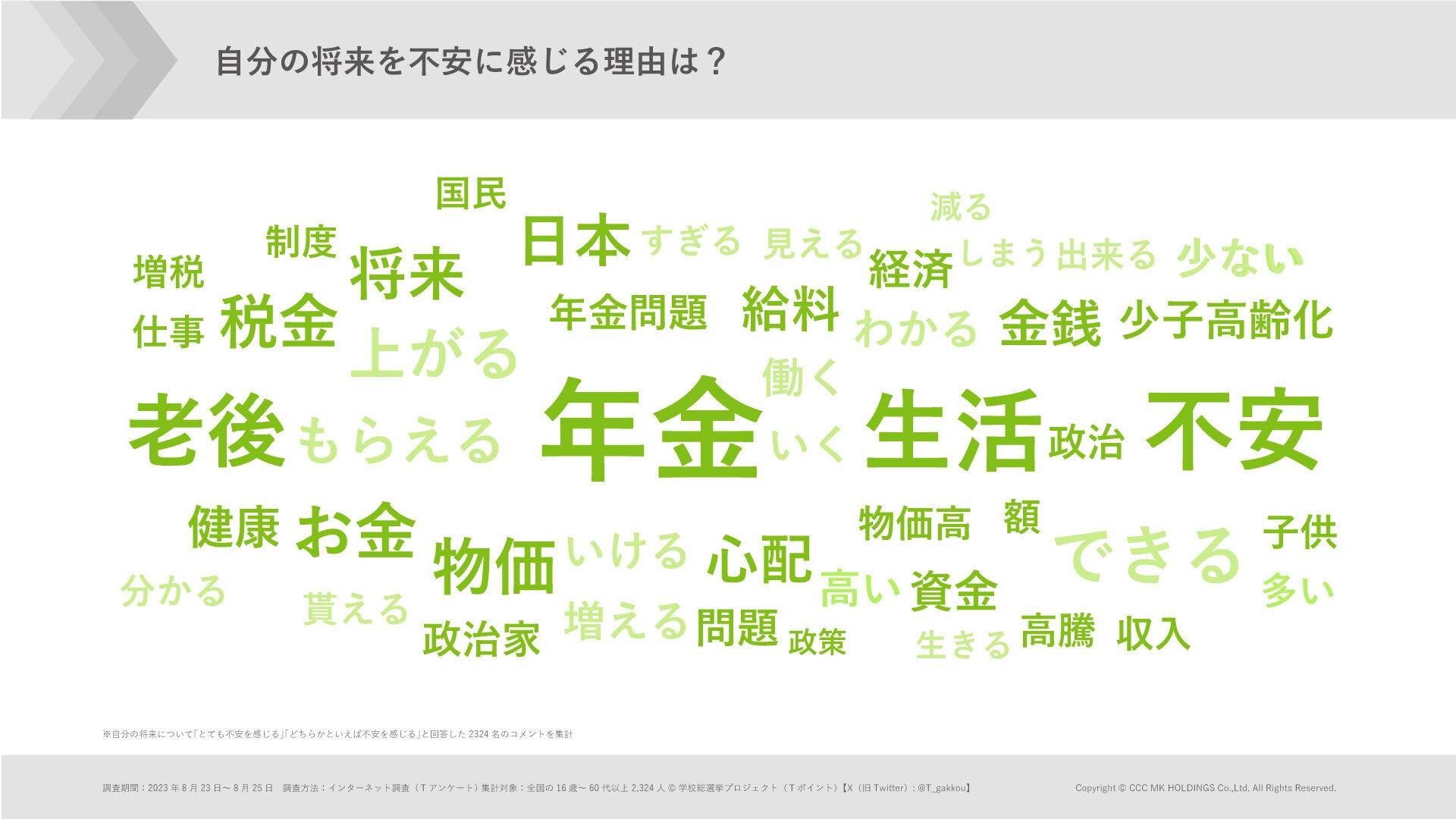 「④ 将来を不安に感じる理由」の説明画像です