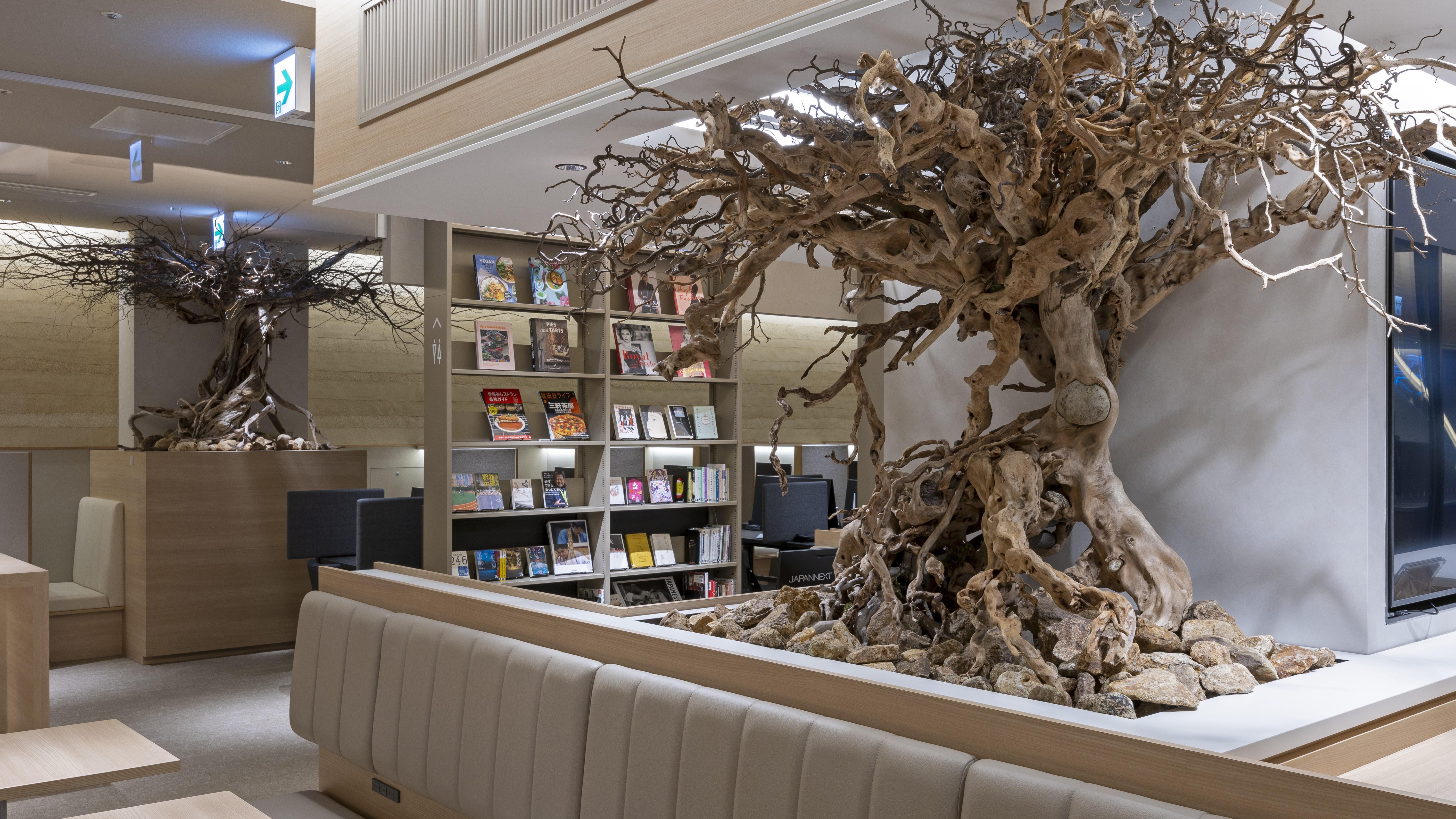 店内の写真です