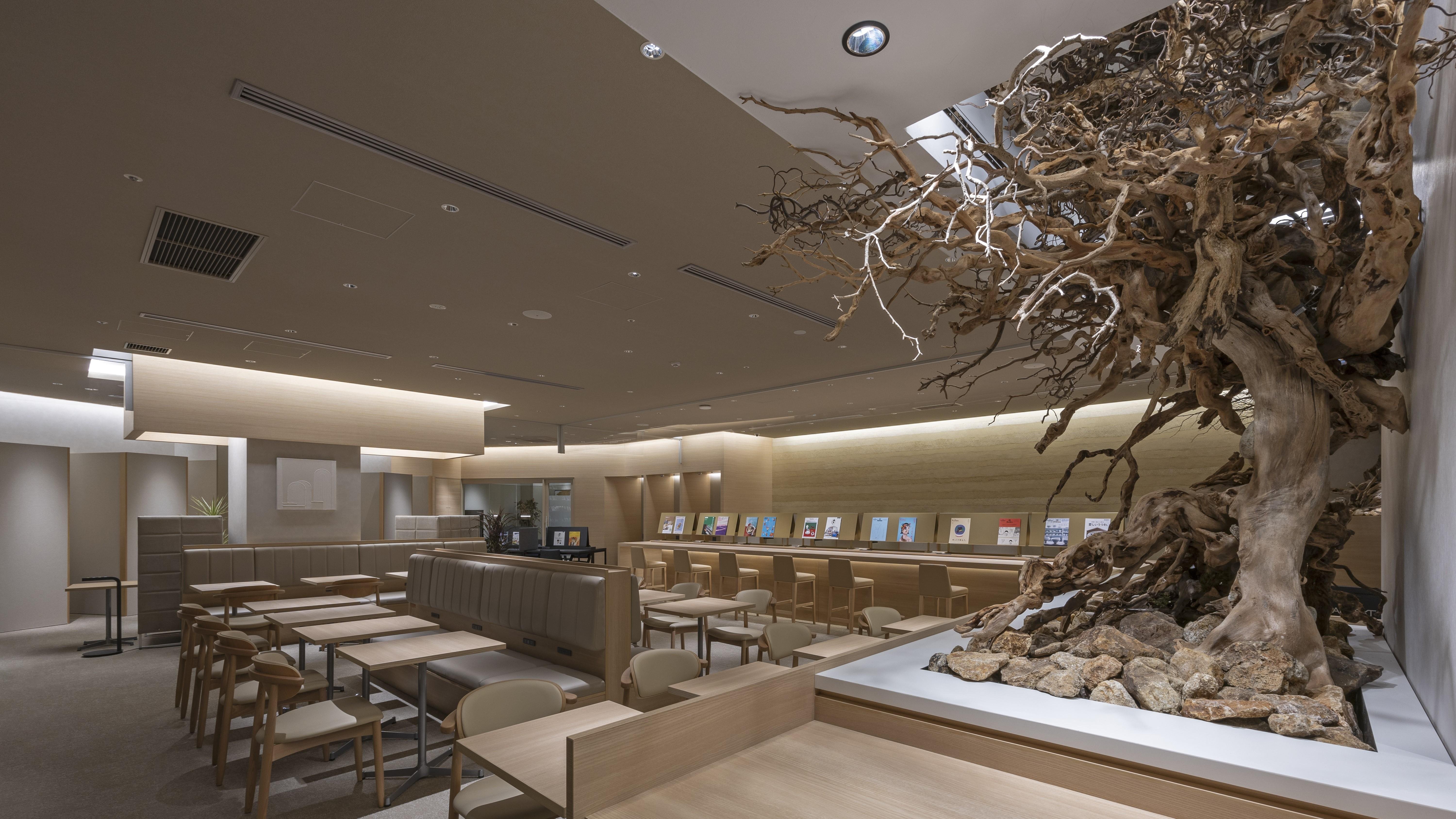 店内の写真です