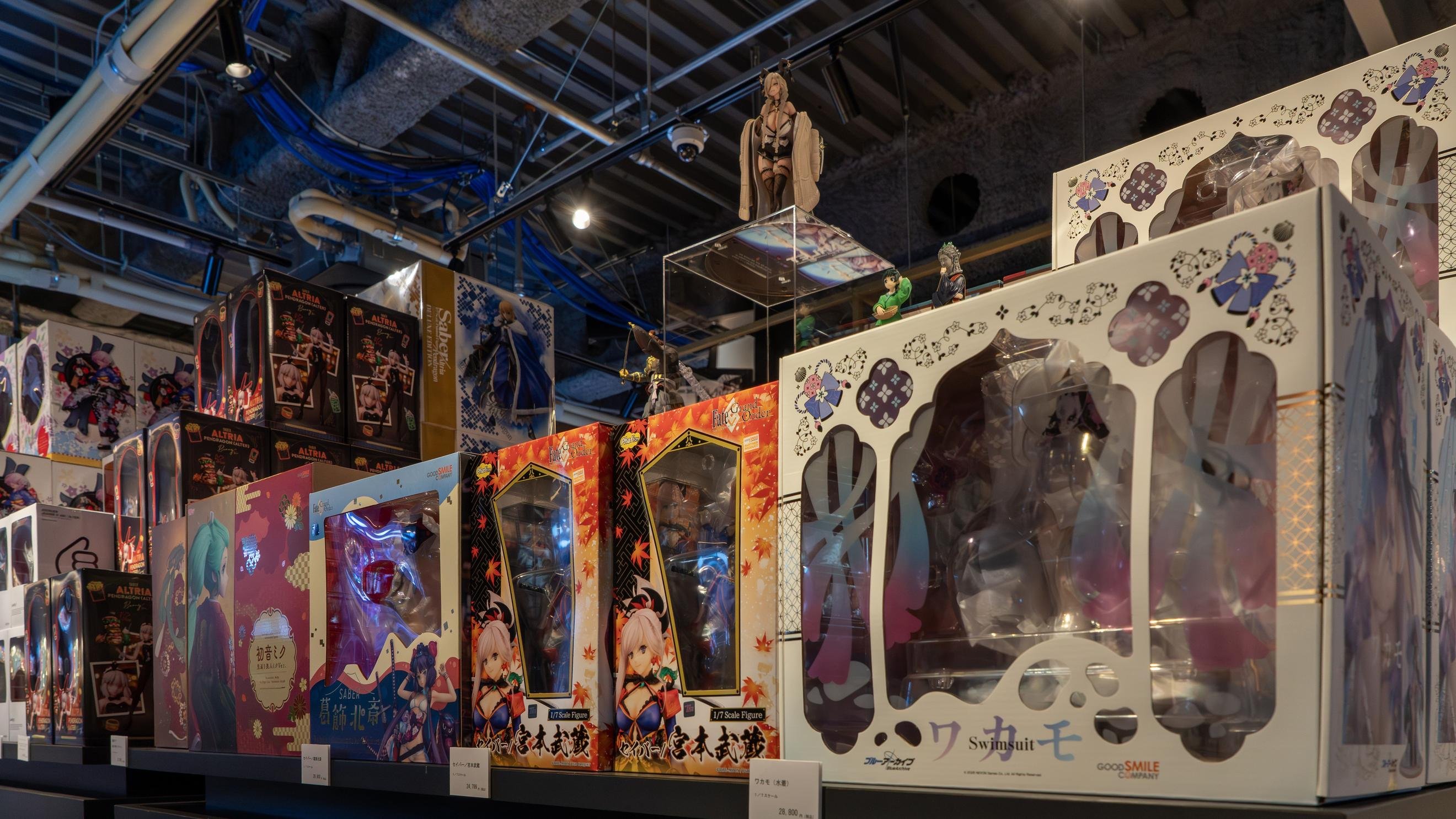 京都IP書店の店内画像です