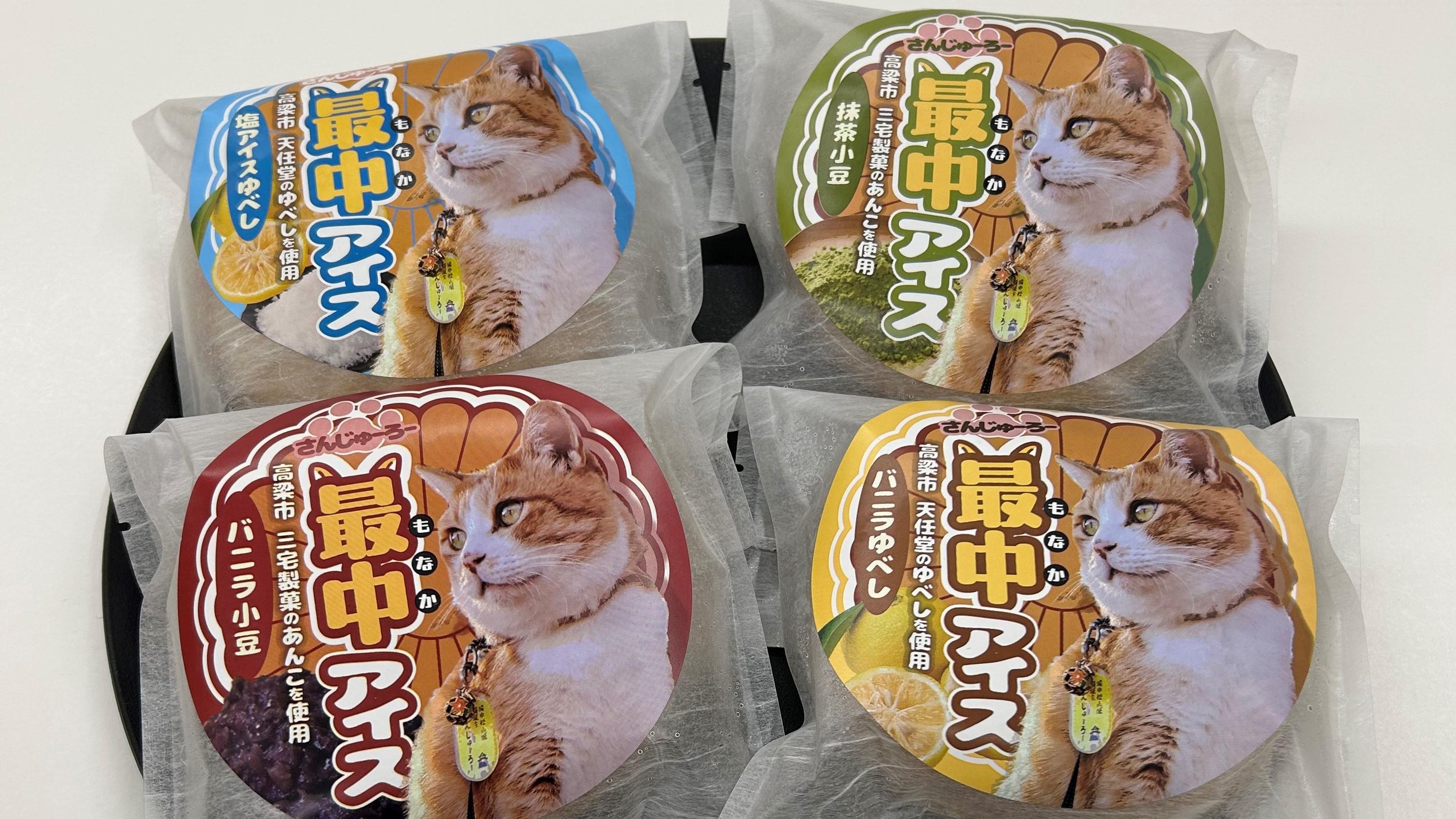 さんじゅーろー最中アイスの写真です