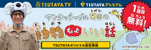 「TSUTAYA TV」オリジナル作品、親子で見たい動物知育番組『アンタッチャブル柴田の動物ちょっといい話』4月11日（水）配信スタート！